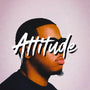 Attitude