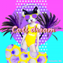 Cats dream